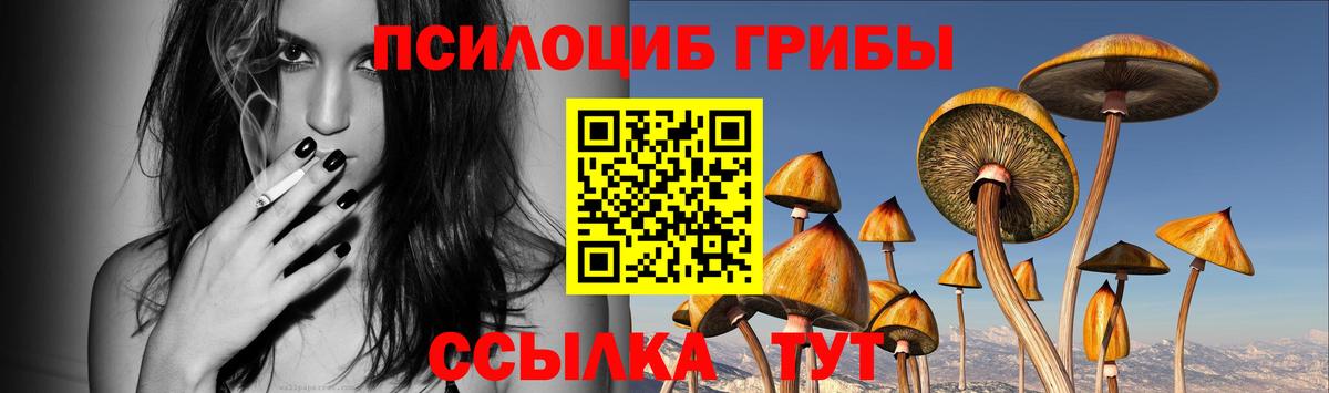 Псилоцибиновые грибы GOLDEN TEACHER Красногорск